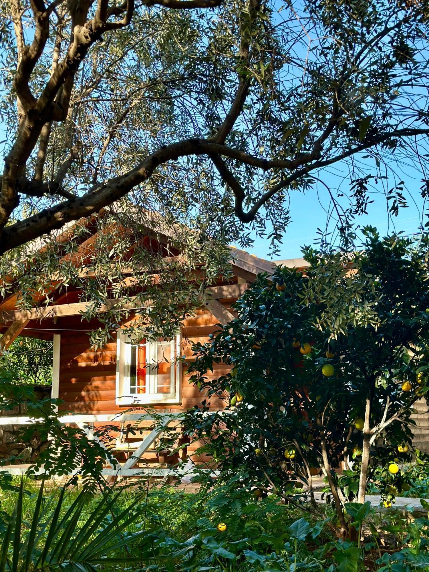 The Mussel House Villa Ksamil Eksteriør billede