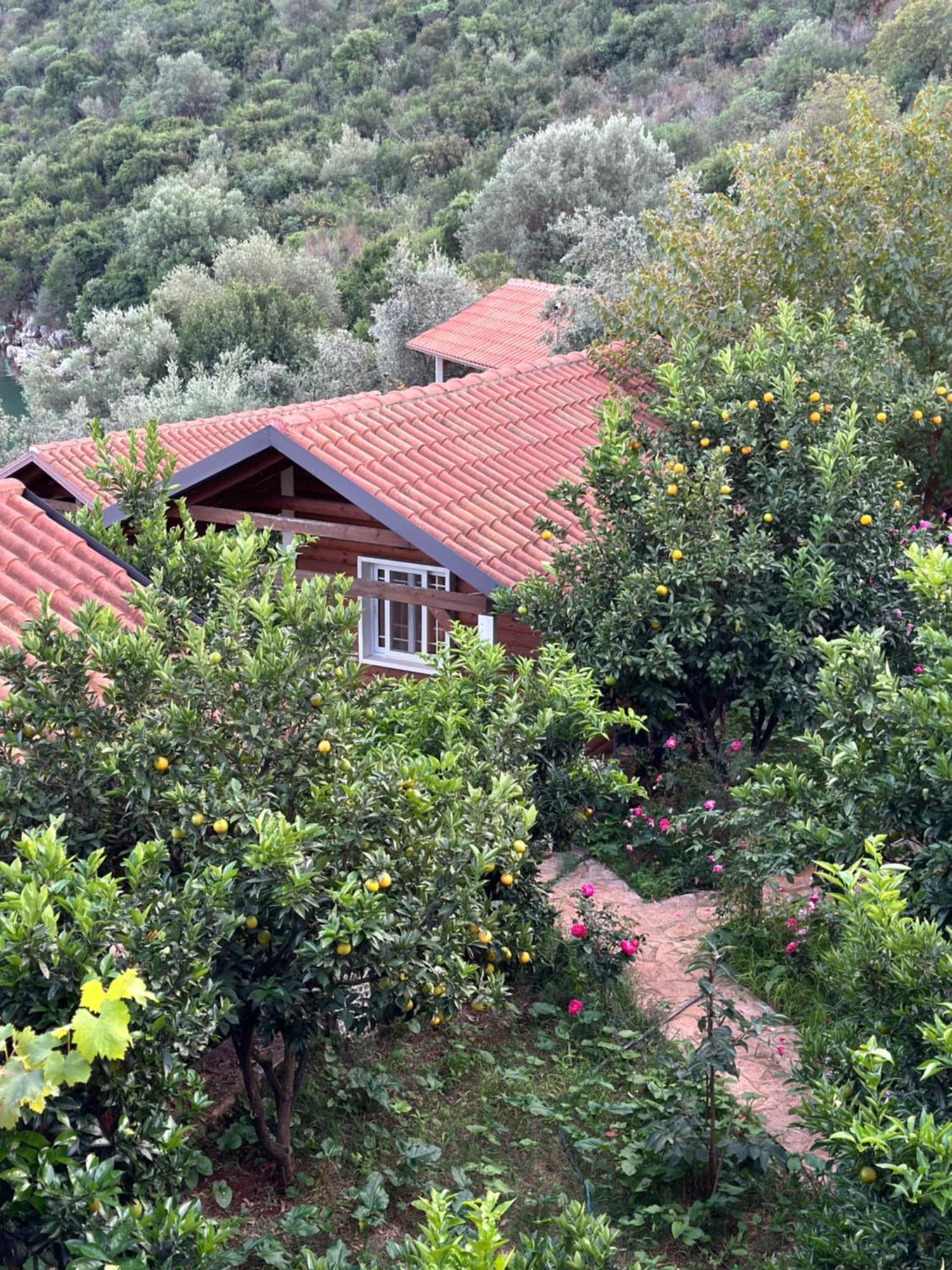 The Mussel House Villa Ksamil Eksteriør billede
